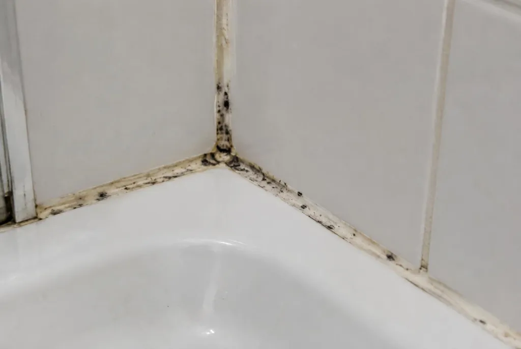 Kitbedrijf Ankeveen – beschimmelde kitranden